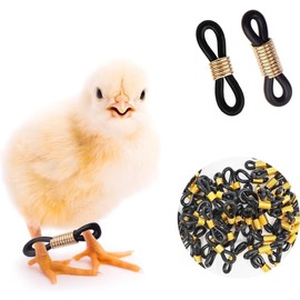 50 Pcs Black Baby Chick Splay Leg Hobble Chicken Leg Bands, Adjustable Chicken Hobble Braces for Spraddle Leg Repair Poultry Care Supplies,Bird Ducks Newly Hatched, Poultry Feeders