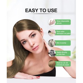 Herbishh Lenin 3 in 1 Hair Dye Shampoo (Pack of 3) 16.9 FL Oz Each and Pro Keratin Argan Oil Hair Mask 5.07 Fl Oz Combo for Dry Damaged Hair 150 ML - Long Lasting Grey Hair Color forMen & Women