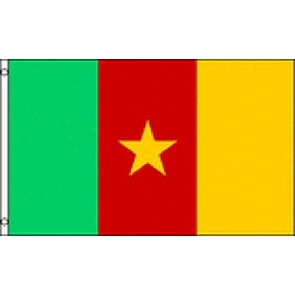 (Quantity of 50 Pieces) Cameroon Box