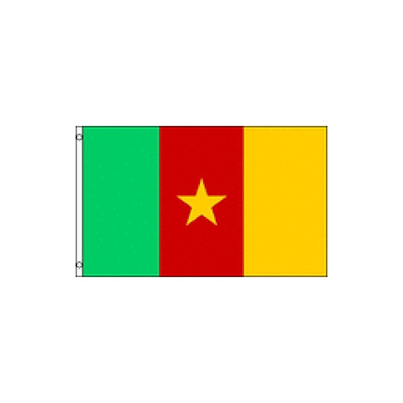 (Quantity of 50 Pieces) Cameroon Box