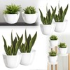 PECZEKO Shiny Flower Pot, Plastic Planter, Decorative Pot for Large
