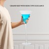 Worlds Largest Giant Martini Glass - Huge 20 Inches, 54