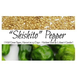 “Shishito” Pepper Seeds – Fast-Growing, Mild Green Pepper – First Harvest in 75 Days | Never GMO, Always Heirloom and Open-Pollinated | USA Grown Seeds by Liliana's Garden |