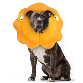 MIDOG Dog Cone Collar for Large Medium Dogs, Soft Inflatable Dog Cone Alternative After Surgery, Adjustable Protective Recovery Cone - Alternative E Collar Does Not Block Vision (Lion,L)