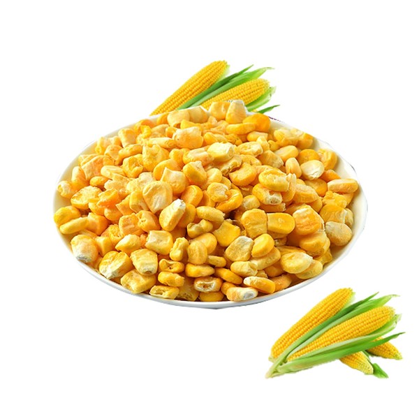 Crunchy freeze-dried corn kernels for snacks, soup ingredients, camping food