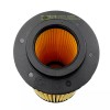 Kohler Genuine Kohler Kit Diesel Fuel filter ED0021753180-S & Oil