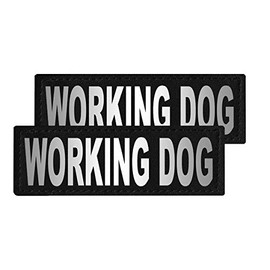 Dogline Working Dog Vest Patches â Removable Working Dog Patch 2-Pack with Reflective Printed Letters for Support Dog Vest Harness Collar or Leash Size A (1" x 2.75")