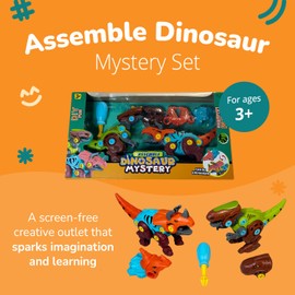 Channie's Take Apart Dinosaur Stem Toys for Kids, Build A Dinosaur Drill Kit, Educational Assembly Toy for Kids, Mystery Set