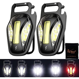Linternas de bolsillo de alta luminosidad, 500 mAh, 800 lúmenes, aleación de aluminio  PC, carga tipo C (2 paquetes de escarabajos)