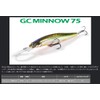 Issei G.C. Minnow 75MR-SP #05 Wakasagi