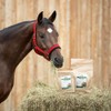 EWALIA Muscle Pack for Horses: Powerful Protein Source with Spirulina,