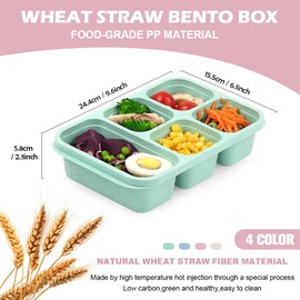 Bento Lunch Box - 4 Pack, Reusable Food Storage Snack Containers with Transparent Lids for School, Work and Travel