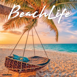 Willow Creek Press Beach Life Monthly 2025 Wall Calendar (12" x 12")
