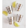 Santa Barbara Design Studio SIPS Drinkware Stainless Steel Shot Cups,