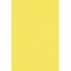 50 x Daffodil Yellow A4 Vanguard Card J32-240gsm