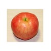 GuCra Set of 2 Realistic Apples Food Sample Fruit Model