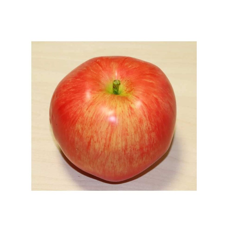 GuCra Set of 2 Realistic Apples Food Sample Fruit Model