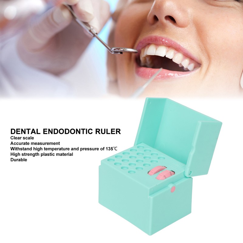 Dental Measuring Ruler Autoclavable Clear Scale Cleaning Dental Endodontic Instrument