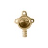 XFITTING 3/8 Inch Pex x 1/2 Inch Female NPT Drop
