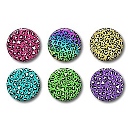 Rainbow Leopard Locker Magnets - Cute Locker Magnets for Teens - Fun School Supplies - Whiteboard Office or Fridge - Funny Magnets