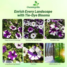 Outsidepride Purple Tie Dye Shock Wave Petunia Seeds - 30 Pcs. Annual, Compact & Spreading Flower Seeds for Planting Low Growing Vibrant Blooms, Garden Beds, Hanging Baskets & Container Displays