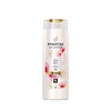 Pantene Miracles Colour Gloss Shampoo 400 ML