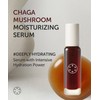 SERUMKIND Chaga Mushroom Serum for Korean Face Skincare - Beta