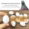 Solid Fake Eggs Dummy Pigeon Eggs for Guiding Racing Pigeons,