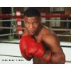 Champion mike tyson 8x10 photo Boxing heavyweight champion