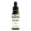 Feel Bach! Natural Homeopathic Remedy - Wild Rose Dropper Flower