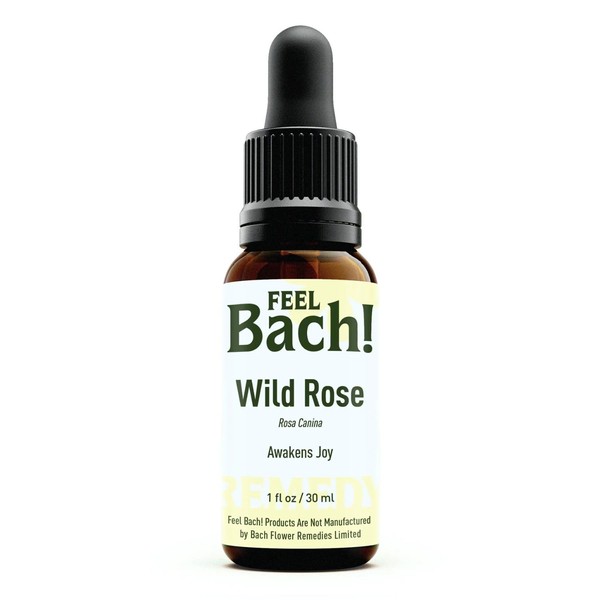 Feel Bach! Natural Homeopathic Remedy - Wild Rose Dropper Flower