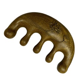 BIUDECO Relaxation Massager Handheld Scalp Comb for Hair Caring and Detangling