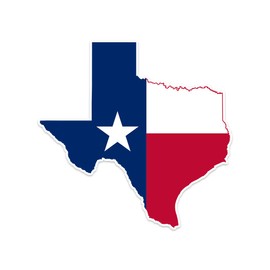 Texas State Map Flag Sticker Decal Notebook Car Laptop 4" x 4" (Color)