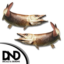 Tiger Musky - Fish Decal Fishing Tackle Box Bumper Sticker "5in SET" F-0910 D&