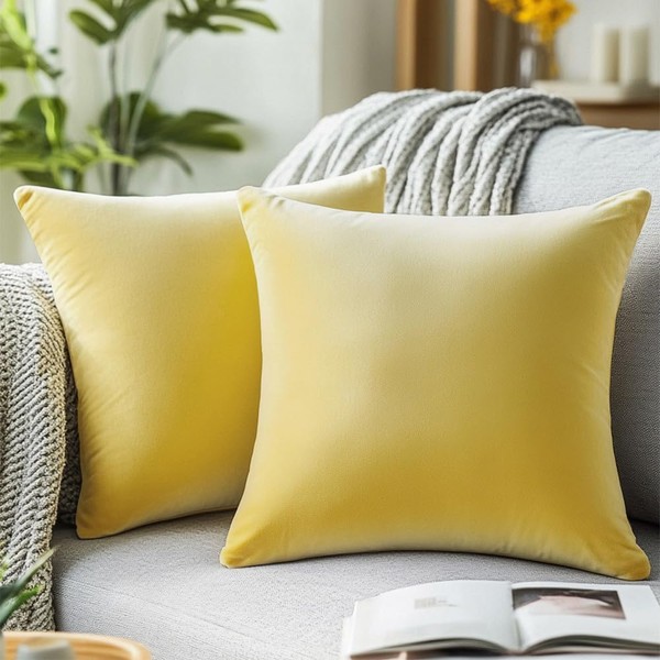 QUORGVES 22x22 Pillow Cover Set of 2 Yellow Velvet Summer