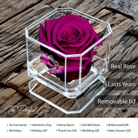 A 100% Real Rose That Lasts Years - Eternal Petals, Handmade in UK – White Gold Solo (Plum)