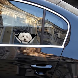 Maltese Car Sticker 18 cm (7.1 Inch) Maltese Car Sticker Funny 3D Ripped Car Sticker Maltese Reflective Sticker Bumper Waterproof Funny Decor