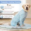 Dog Sun Protection Cooling Suit UPF 50+, Quick-Dry Breathable Jumpsuit