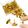 300 Metal Drawing Push Pins, Push Pins Gold with Storage