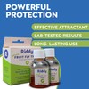 Riddy Fruit Fly Traps – Non-Toxic, Ready-to-Use, Long-Lasting Solution for