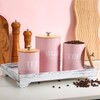 Blushtier 3 Pack Pink Kitchen Canister Set Metal Tea Coffee