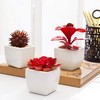MyGift Assorted Artificial Red Succulent Plants, Mini Fake Desert Plants