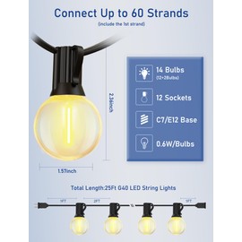 Abeja 25FT LED G40 Globe String Lights, Waterproof Outdoor Patio String Lights with 12+2 Dimmable Edison Bulbs, Hanging Bistro Light for Balcony Party Wedding Market Cafe-Black Wire