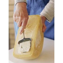 Stainless Steel Cheese Slicer by Bjorklund, Made in Norway