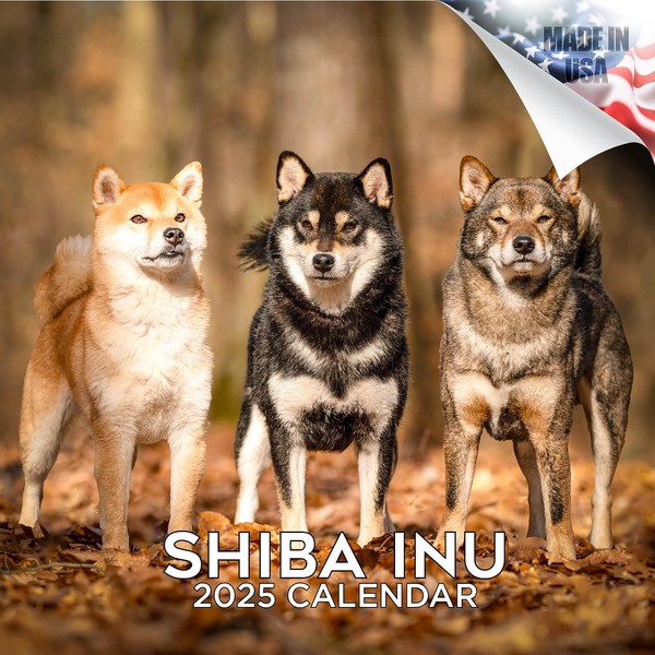 2024 2025 Shiba Inu Calendar - Dog Breed Monthly Wall