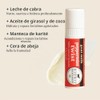 Dionis bálsamo labial y set de regalo de crema de