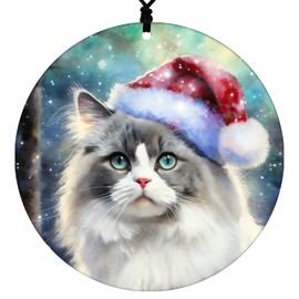Ragdoll Cat Christmas Ornament - Watercolor Theme With Snow, Santa Cap and Northern Lights - 2024 Acrylic Ornaments For Tree - Cat Gifts and Holiday Home Decor