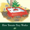 Dalen Red Tomato Tray 3 pack Automator garden plant AU-16R
