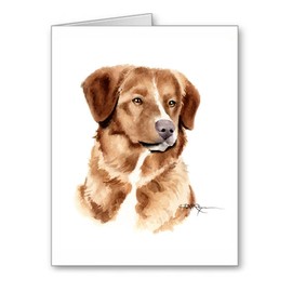 DJ Rogers Fine Art Toller - Set of 10 Dog Note Cards With Envelopes
