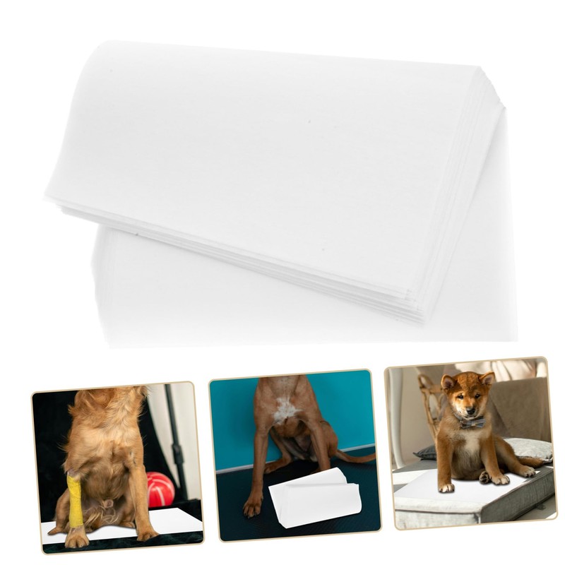 CIYODO 50Pcs Disposable Dog Urine Pads Quick Absorbent Pee Sheets